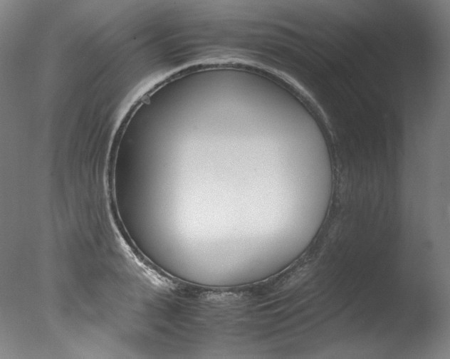 X0000077380943200610201039