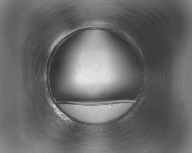 X0000077380944200610201039