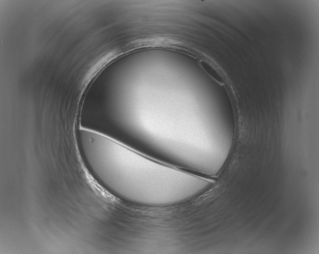 X0000077380946200610201039