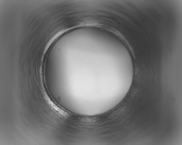 X0000077380947200610201039