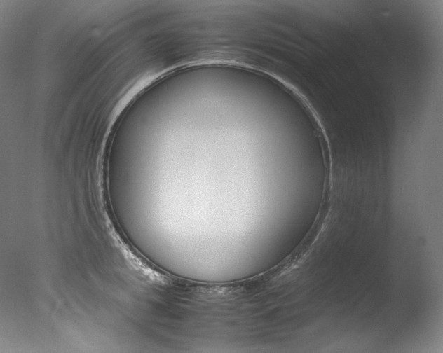 X0000077380949200610201039