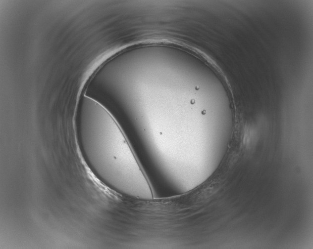 X0000077380951200610201039