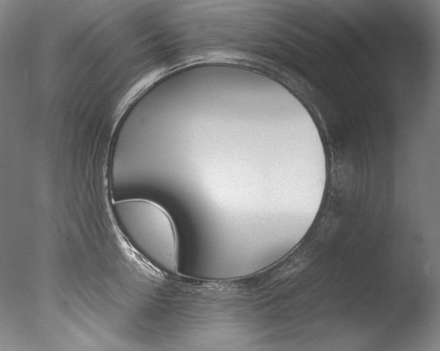 X0000077380954200610201039