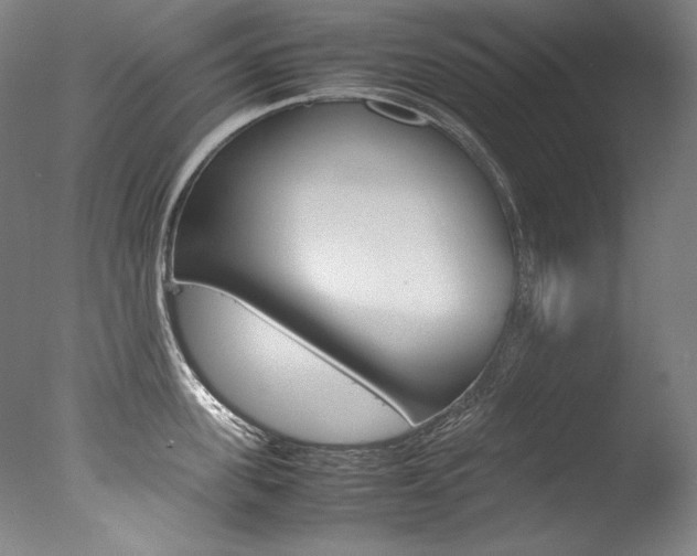 X0000077380955200610201039