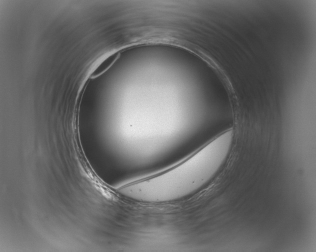 X0000077380956200610201039