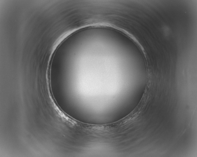 X0000077380959200610201039