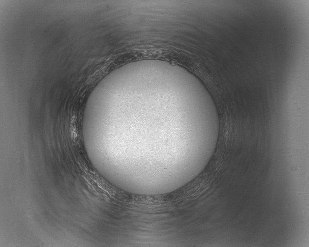 X0000077380962200610201038