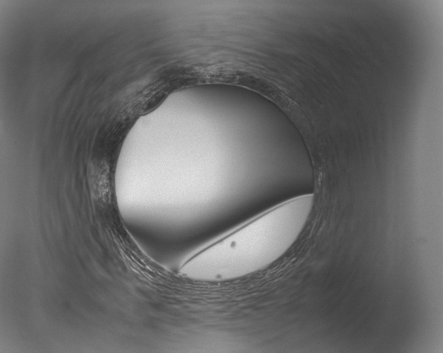 X0000077380963200610201038