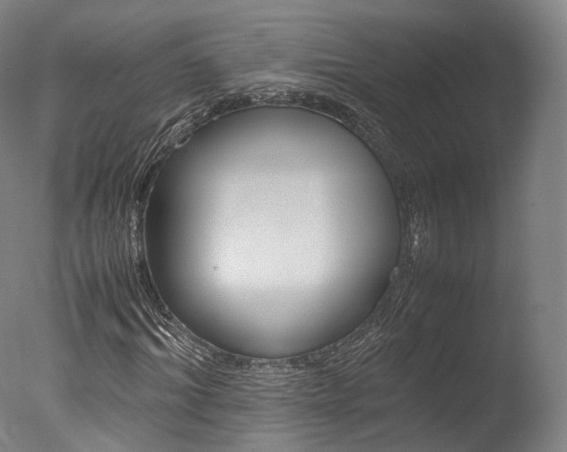 X0000077380964200610201038