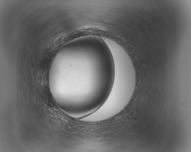 X0000077380965200610201038