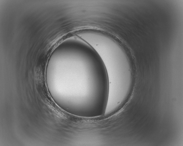 X0000077380969200610201038