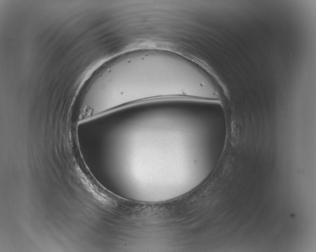 X0000077380972200610201038
