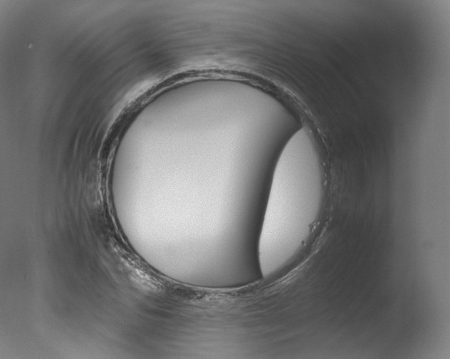 X0000077380974200610201038