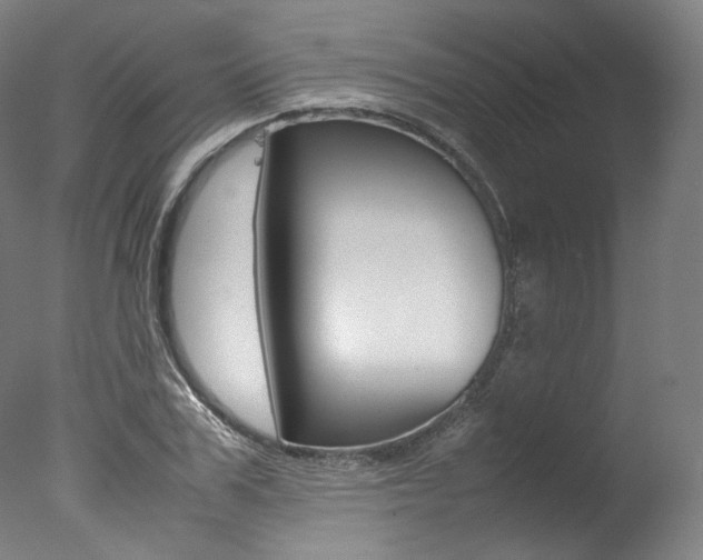 X0000077380979200610201038