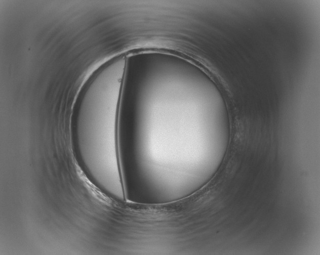 X0000077380980200610201038