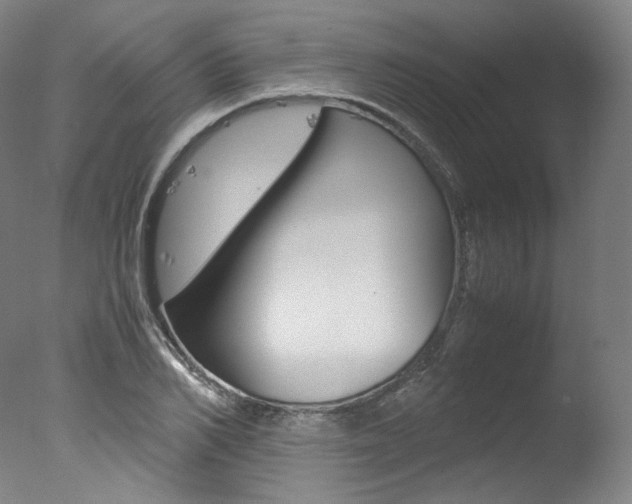 X0000077380982200610201038