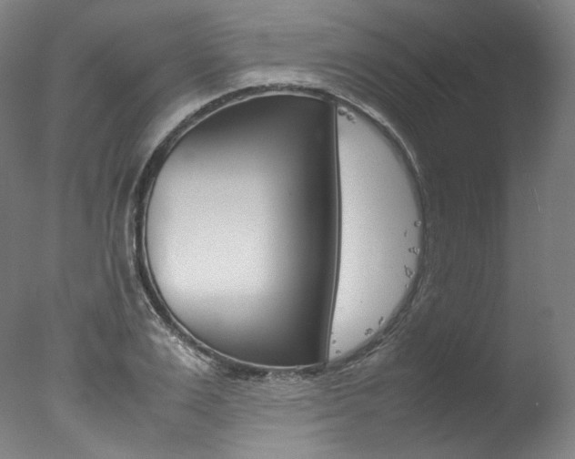 X0000077380983200610201038
