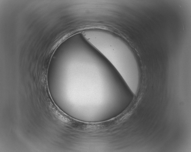 X0000077380985200610201038