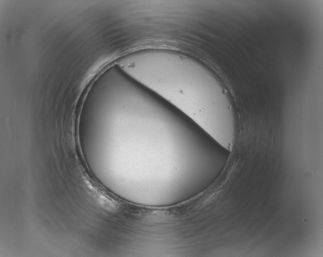 X0000077380986200610201038