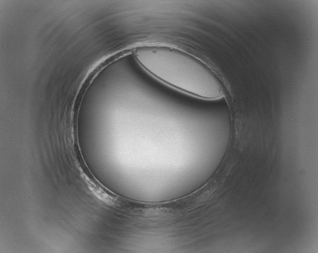 X0000077380988200610201038