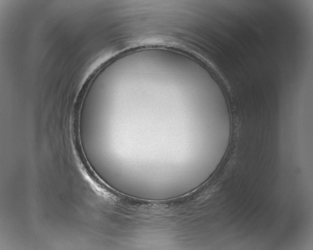 X0000077380991200610201038