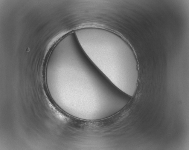 X0000077380995200610201038