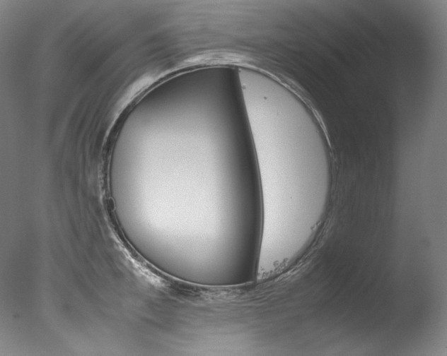 X0000077380997200610201038