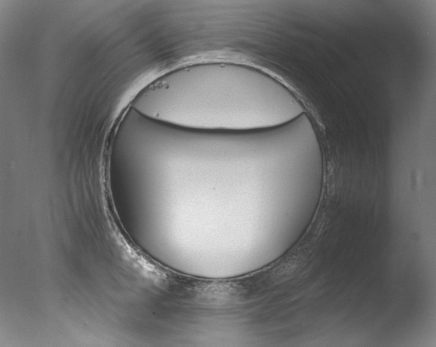 X0000077380998200610201038