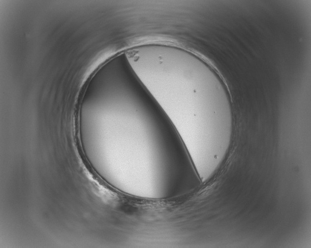X0000077380999200610201038