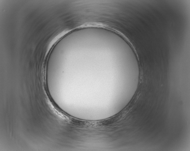 X0000077381003200610201038