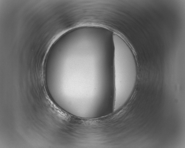 X0000077381004200610201038