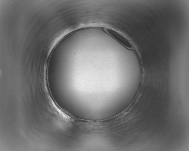 X0000077381006200610201038