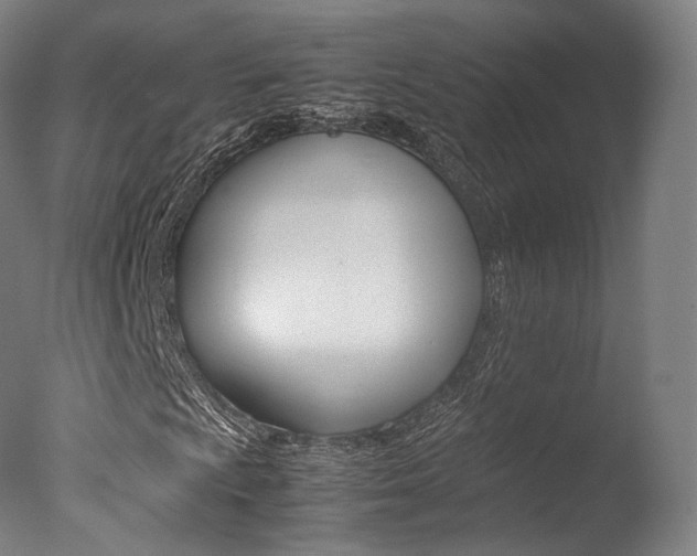 X0000077381009200610201037
