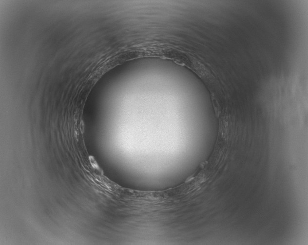X0000077381010200610201037