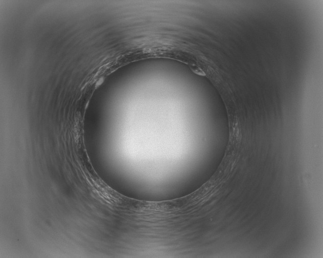 X0000077381012200610201037