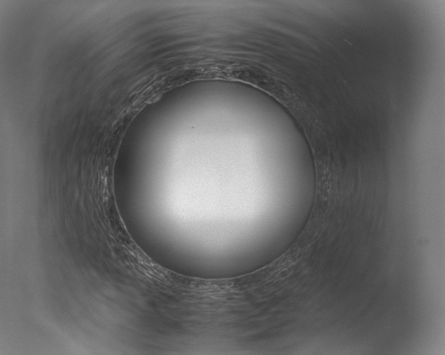 X0000077381013200610201037