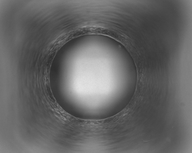 X0000077381014200610201037