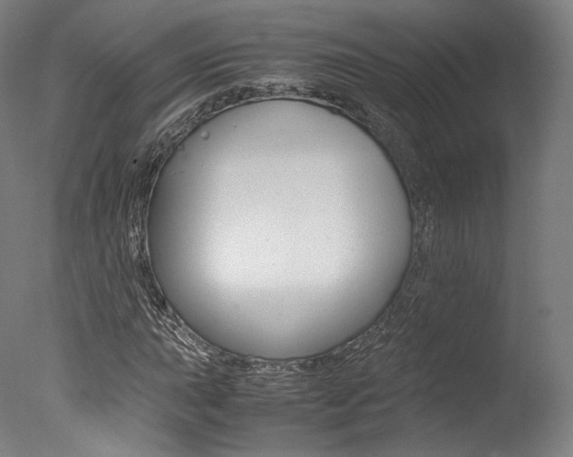 X0000077381015200610201037