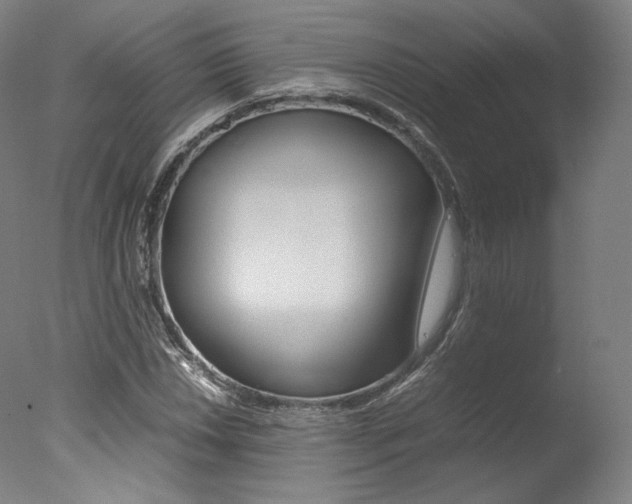 X0000077381018200610201037