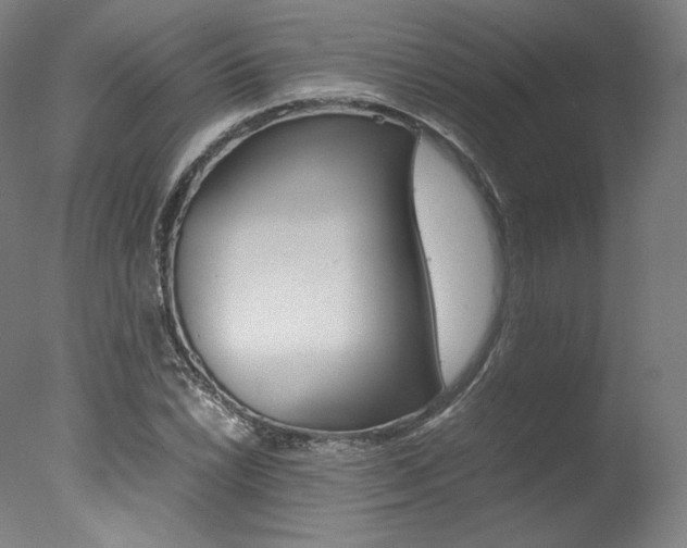 X0000077381022200610201037