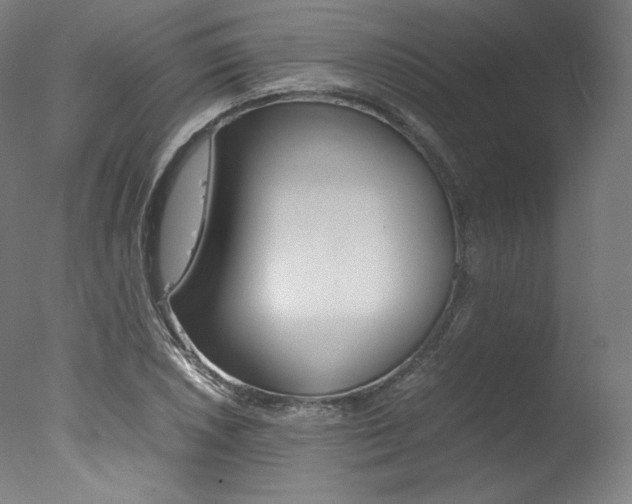 X0000077381026200610201037