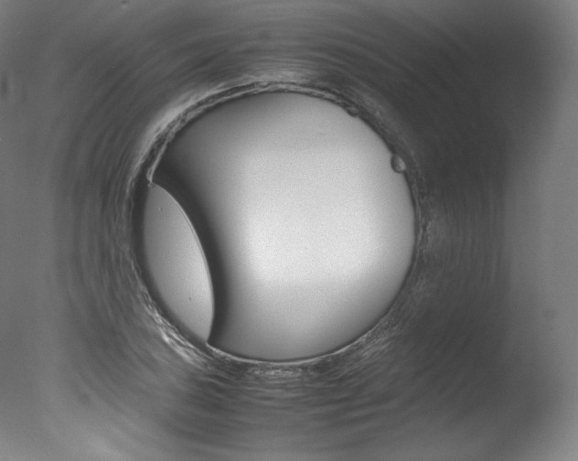 X0000077381027200610201037