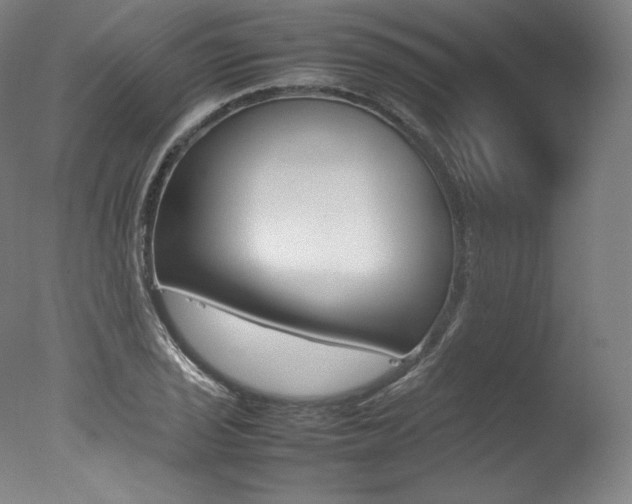 X0000077381029200610201037