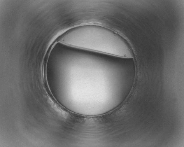 X0000077381032200610201037