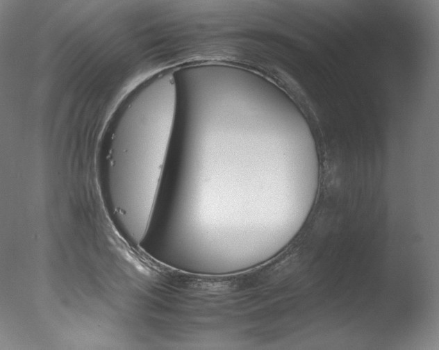 X0000077381035200610201037