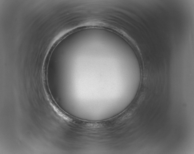 X0000077381037200610201037