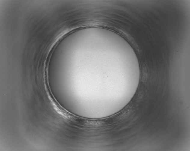 X0000077381039200610201037