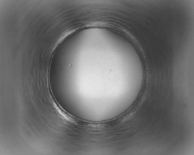 X0000077381041200610201037