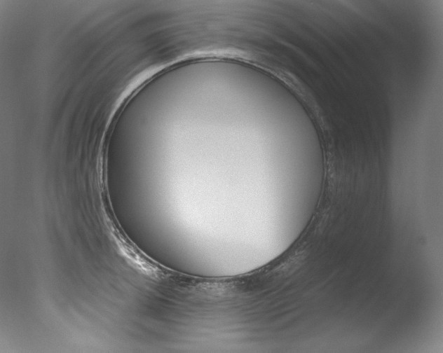 X0000077381044200610201038