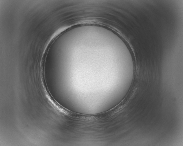 X0000077381045200610201038